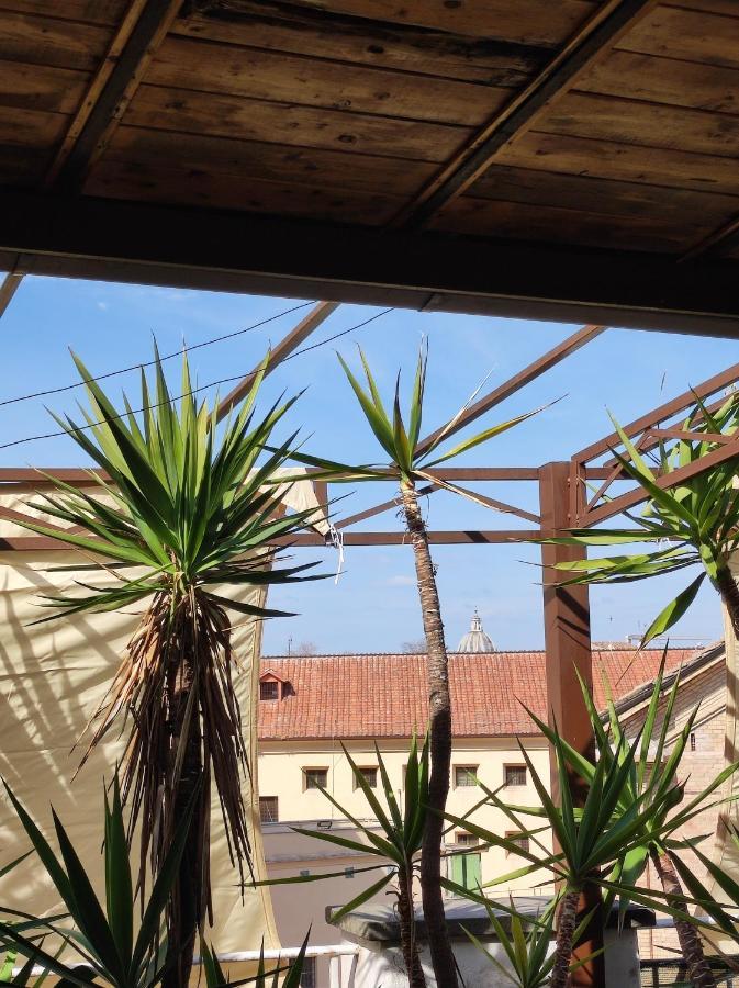Trastevere On The Terrace 로마 외부 사진