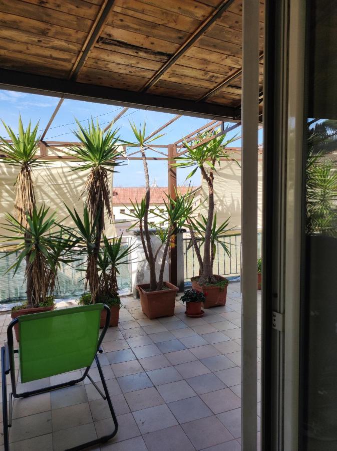 Trastevere On The Terrace 로마 외부 사진